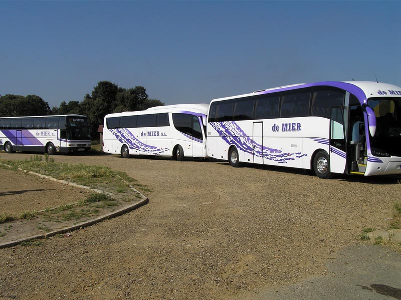 servicios 4